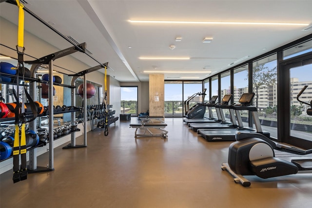 exercise room featuring a wealth of natural light and a wall of windows