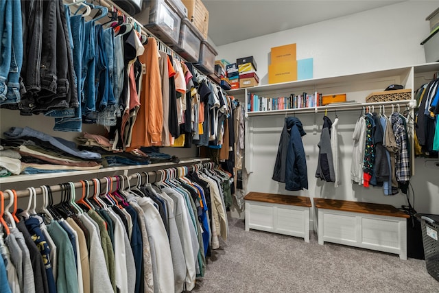 spacious closet featuring carpet