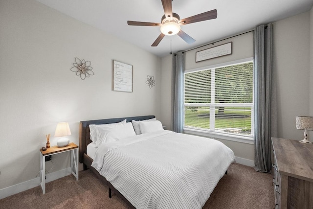 105 Aldea St, Georgetown, TX 78633 - bedroom with carpet flooring and a ceiling fan