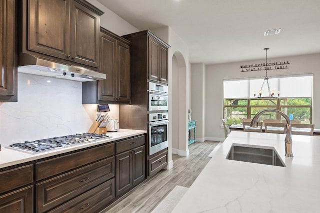 105 Aldea St, Georgetown, TX 78633 - kitchen with appliances with stainless steel finishes, under cabinet range hood, dark brown cabinetry, light wood finished floors, and decorative light fixtures