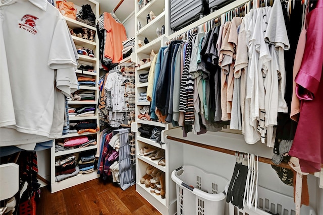 walk in closet featuring dark wood-type flooring