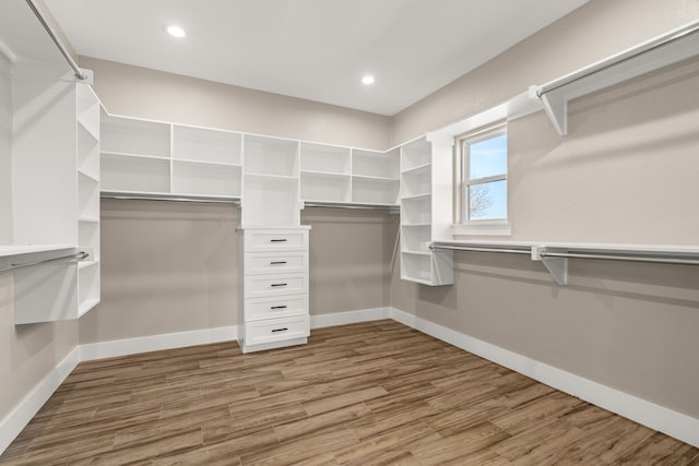 spacious closet with wood-type flooring