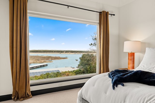 bedroom featuring a water view and carpet floors