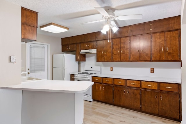 108 Fairlane Dr, Round Rock, TX 78664 - kitchen with white appliances, under cabinet range hood, light countertops, ceiling fan, and light wood-style flooring