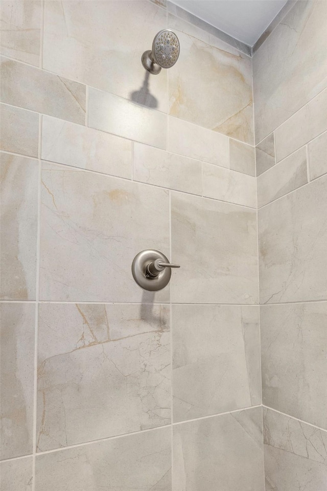 room details with a tile shower