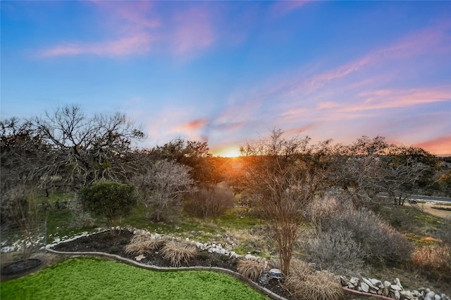 view of nature at dusk