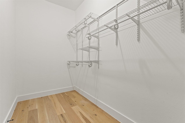 spacious closet with hardwood / wood-style flooring