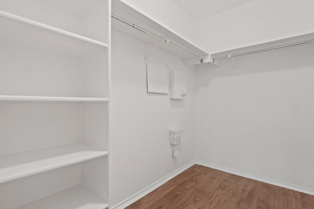 walk in closet with wood-type flooring