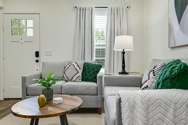 living room featuring wood finished floors and a wealth of natural light