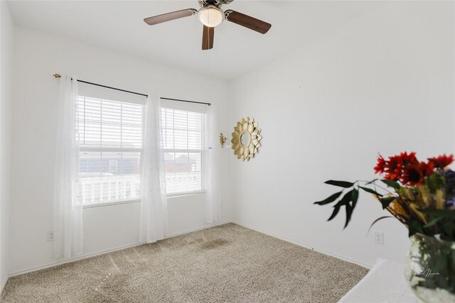 517 Halfmoon Dr, Lockhart, TX 78644 - photo 7