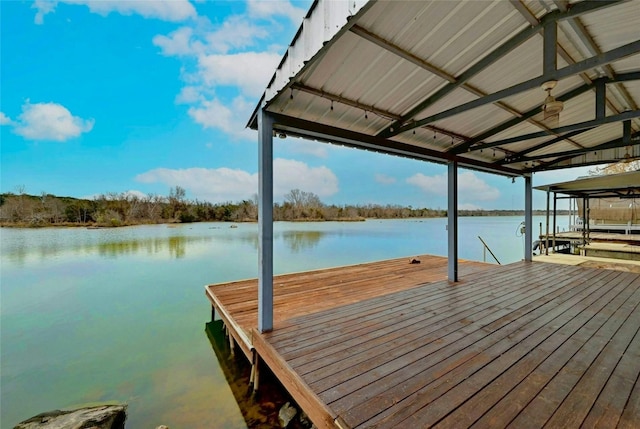 dock area with a water view