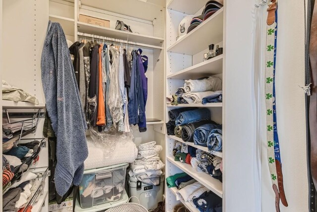 view of spacious closet