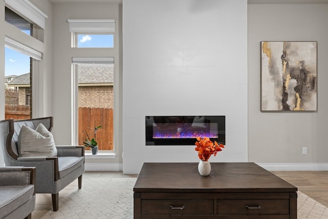 living room with light hardwood / wood-style flooring