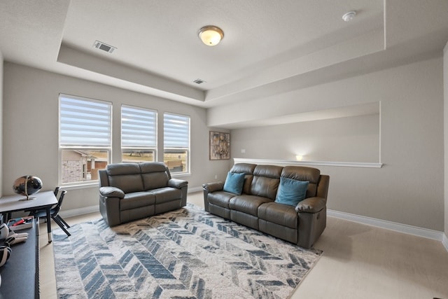 living room with a raised ceiling and wood-type flooring