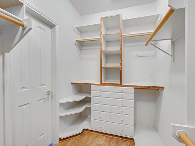 walk in closet featuring light wood-type flooring