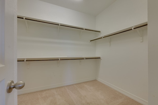 spacious closet featuring light colored carpet