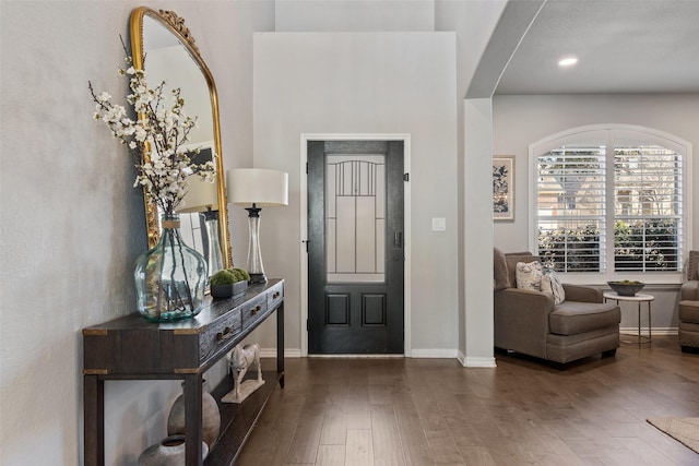 entryway featuring dark wood-type flooring