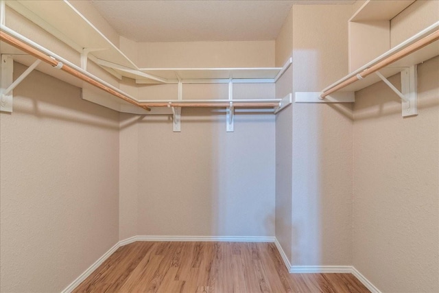 walk in closet featuring light hardwood / wood-style floors