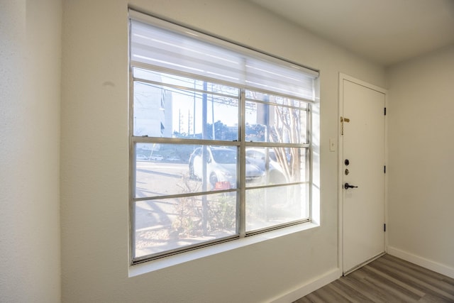 entryway featuring dark hardwood / wood-style floors and a healthy amount of sunlight