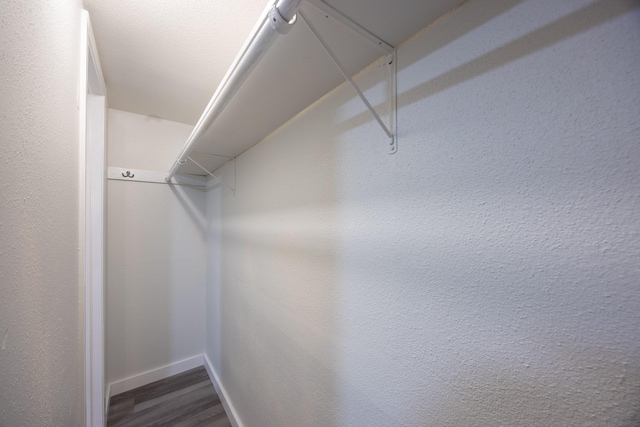 walk in closet featuring dark hardwood / wood-style flooring