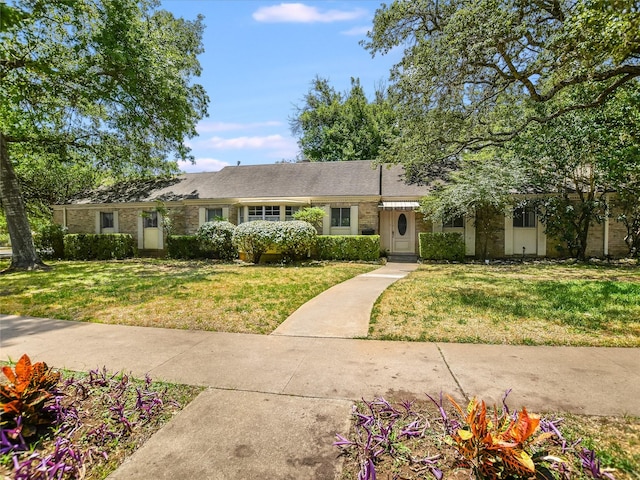 ranch-style house featuring a front yard