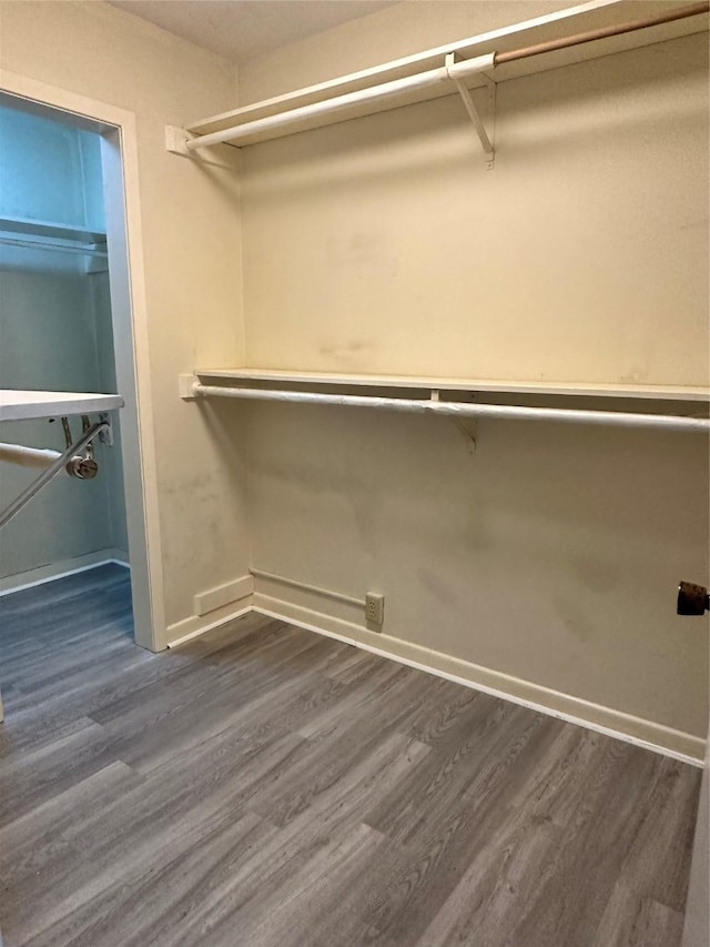 walk in closet with dark wood-type flooring