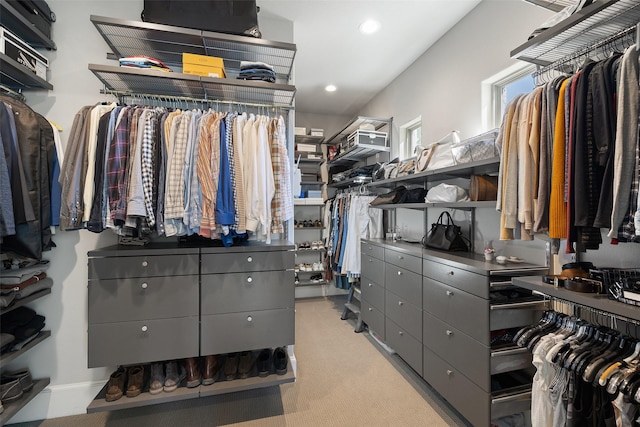 view of spacious closet