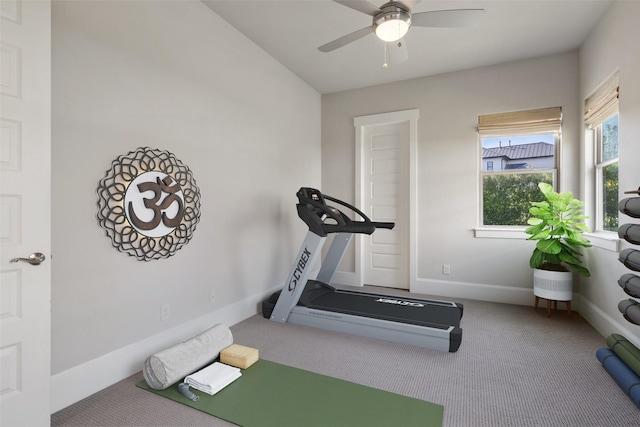 exercise area featuring ceiling fan and carpet