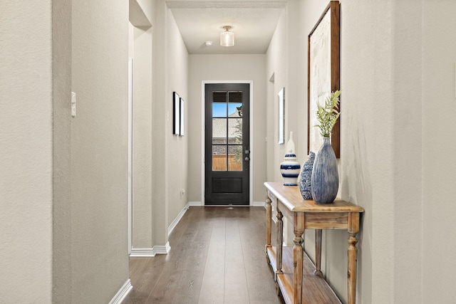 doorway featuring dark hardwood / wood-style flooring