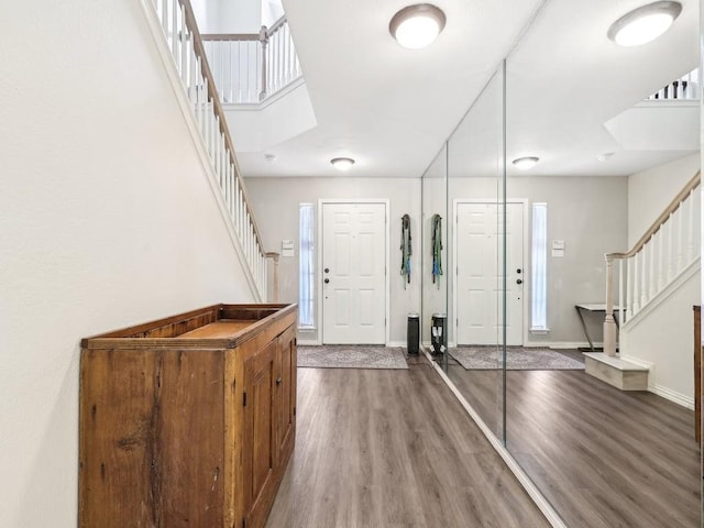 entrance foyer with hardwood / wood-style flooring