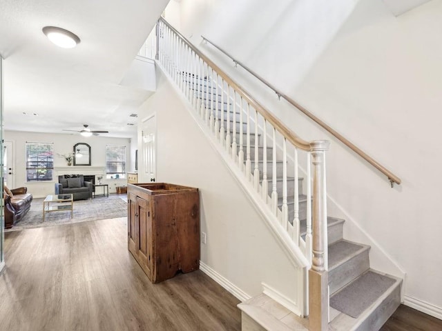 stairway with ceiling fan and hardwood / wood-style floors