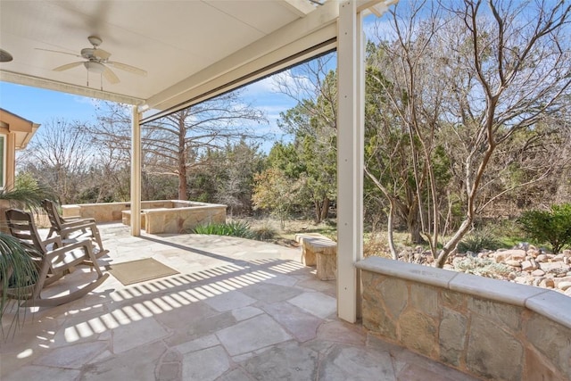 215 Goose Island Dr, Georgetown, TX 78633 - view of patio / terrace with ceiling fan