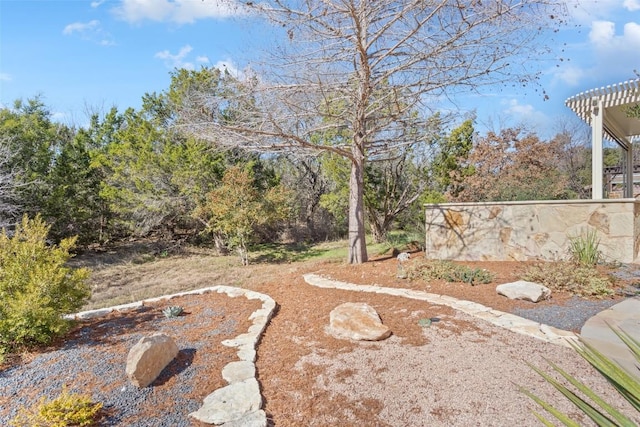 215 Goose Island Dr, Georgetown, TX 78633 - view of yard