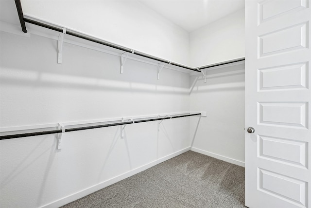 143 Big Pine Creek Ln, Bastrop, TX 78602 - spacious closet featuring carpet flooring