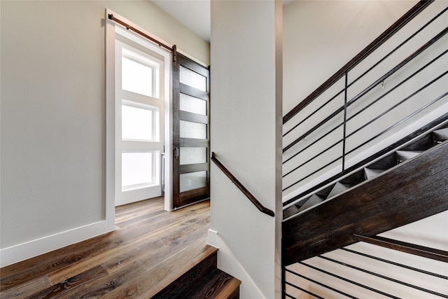 foyer entrance featuring wood-type flooring and a barn door