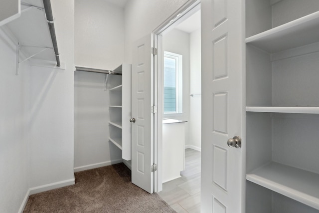 spacious closet with light carpet