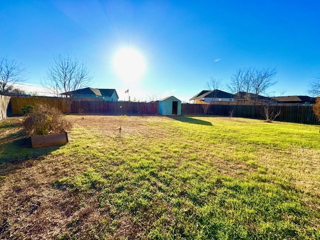 view of yard featuring a storage shed