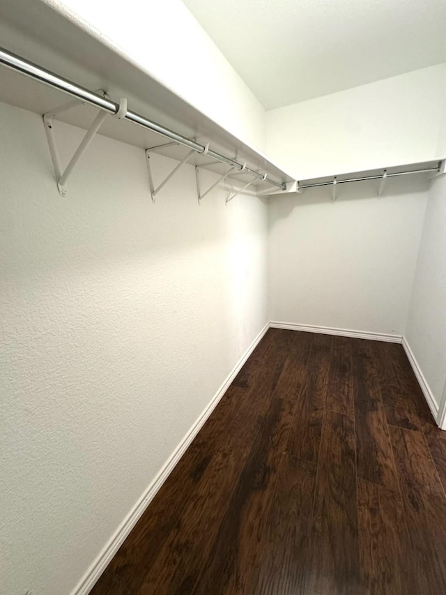 spacious closet with dark wood-type flooring