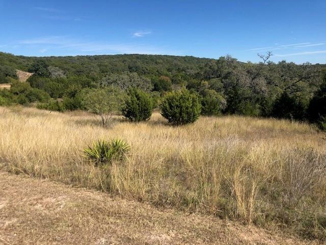 LOT59 Eagle Rdg, Burnet, TX 78611 - photo 4