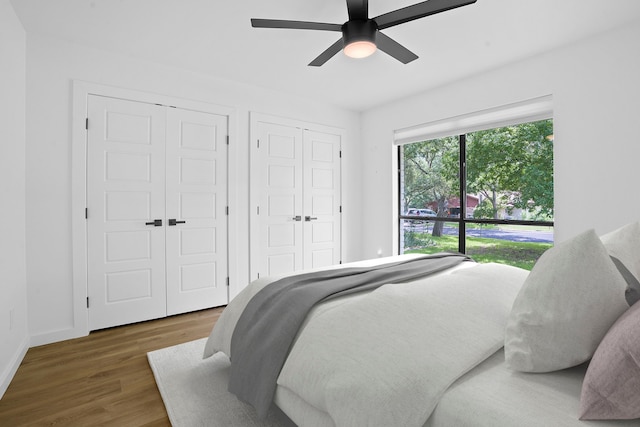 bedroom featuring ceiling fan, dark hardwood / wood-style flooring, and two closets