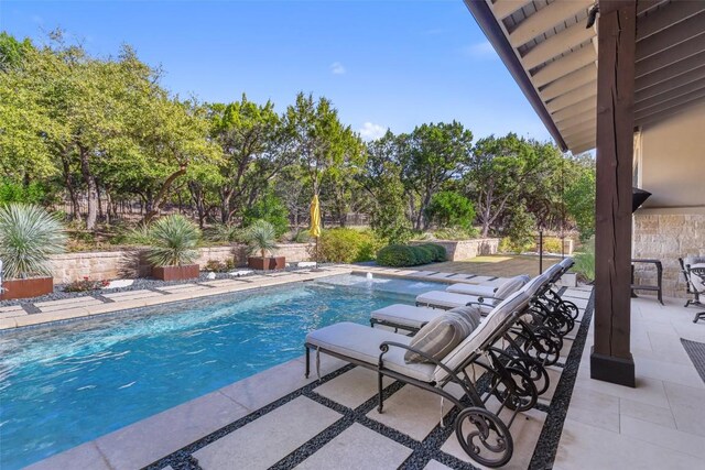 view of pool with a patio area