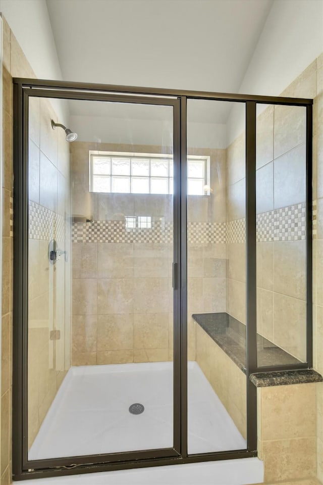 bathroom with plenty of natural light and a shower with shower door