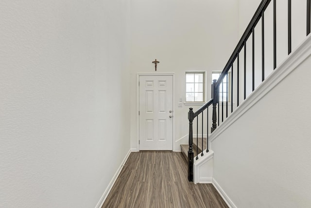 foyer featuring wood-type flooring