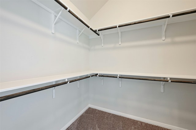 spacious closet featuring carpet floors