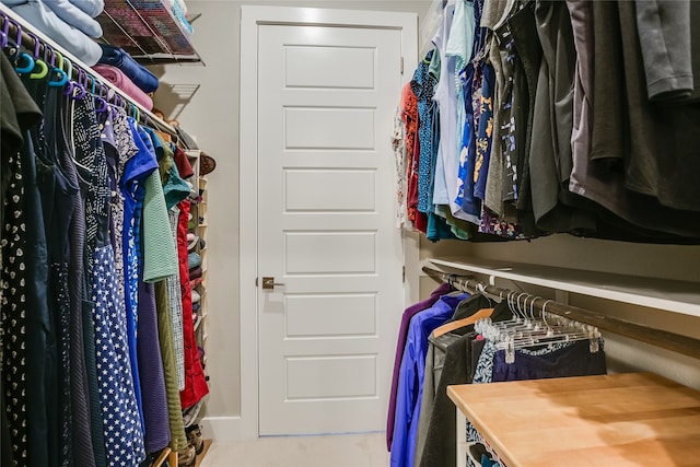 view of spacious closet