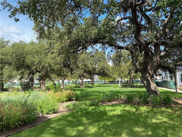 view of community featuring a lawn