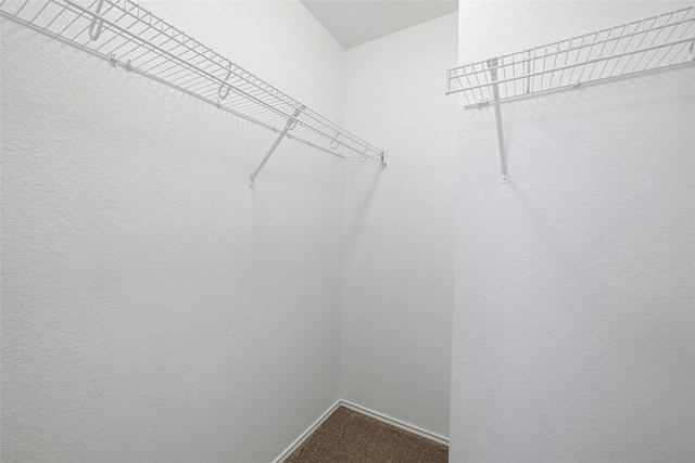 spacious closet featuring carpet