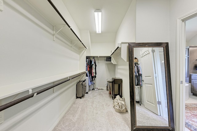 spacious closet with light carpet