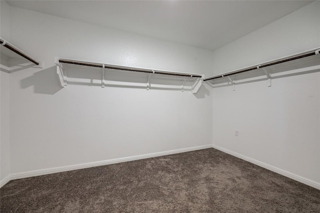 7001 Lewiston Way, Austin, TX 78724 - walk in closet featuring carpet floors