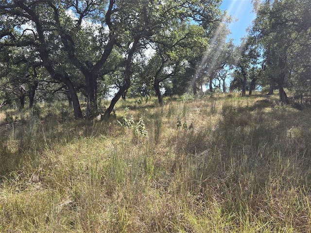 14025 Pinkerton Loop, Horseshoe Bay, TX 78657 - photo 10